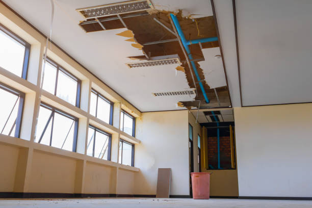Best Water damage contractors near me  in Fort Thomas, KY