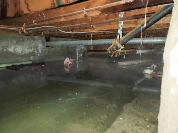 Fort Thomas, KY Water damage restoration Company