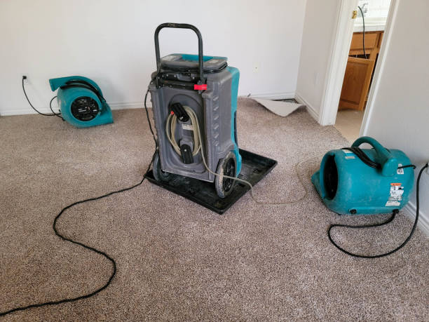 Best Local water damage restoration  in Fort Thomas, KY