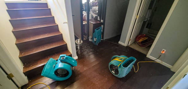 Best Sewage cleanup and water damage restoration  in Fort Thomas, KY