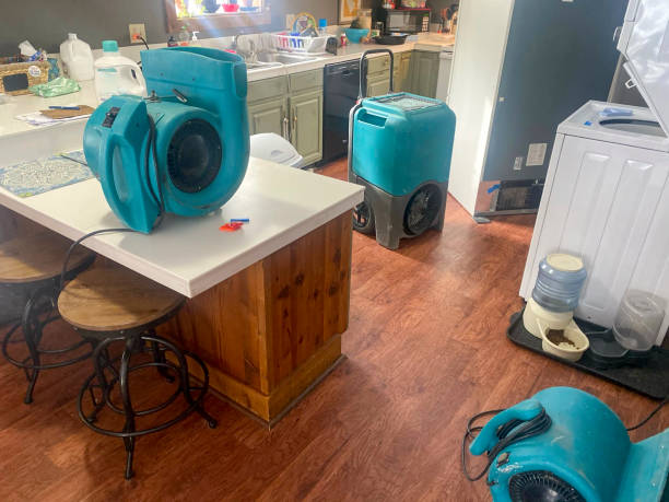 Best Flooded house restoration  in Fort Thomas, KY