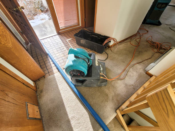 Best Flood restoration services  in Fort Thomas, KY