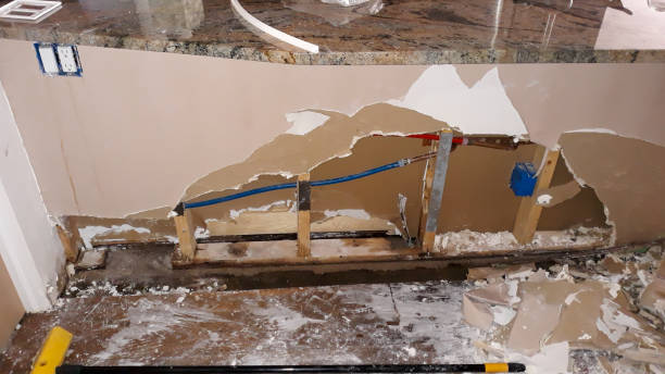 Best Ceiling water damage repair  in Fort Thomas, KY