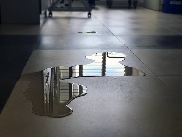 Best Commercial water damage restoration  in Fort Thomas, KY