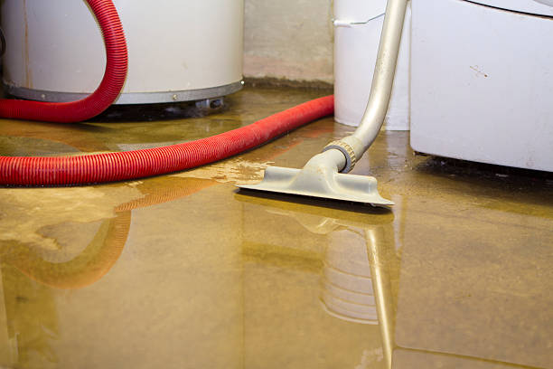 Best Water damage restoration mold remediation  in Fort Thomas, KY