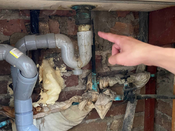 Best Residential water damage restoration  in Fort Thomas, KY